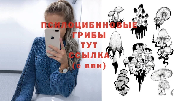 синтетический гашиш Абинск